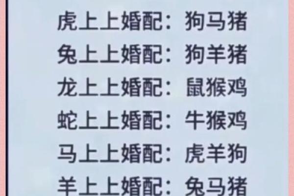 十二肖和十二生肖配对,十二生肖最佳婚配表是怎样的？