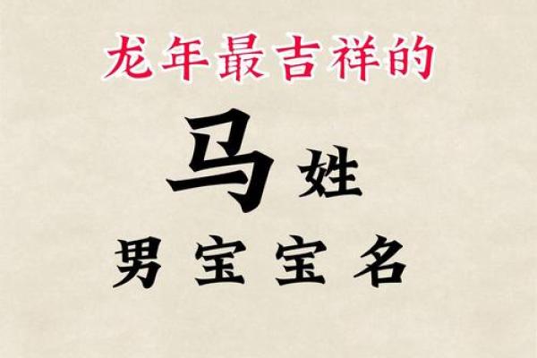 1月份出生的属马男孩起什么名字好姓名