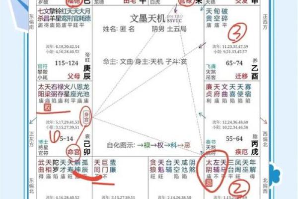 紫薇斗数运势100