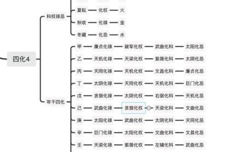 图解紫薇斗数禄忌