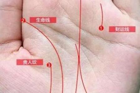 手相算命之十大手相富贵纹