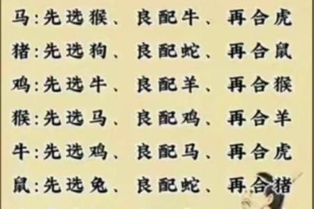 63年属什么生肖配对