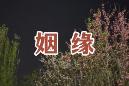 qq号姻缘