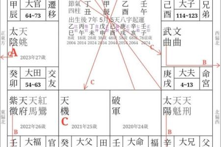 紫微斗数之诸星值限年运气推断：四化星