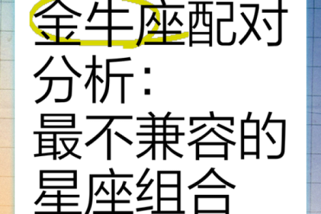 金牛座跟哪个更配对