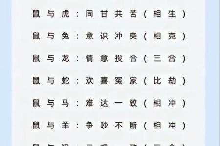 十二肖和十二生肖配对,十二生肖最佳婚配表是怎样的？