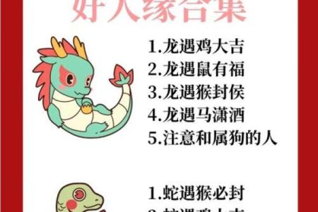 属鼠和属龙的犯冲吗 属鼠和属龙配对合适吗
