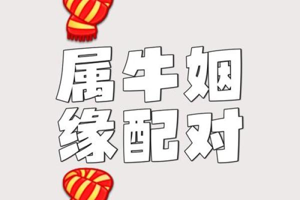 1985属牛的婚姻配对最佳