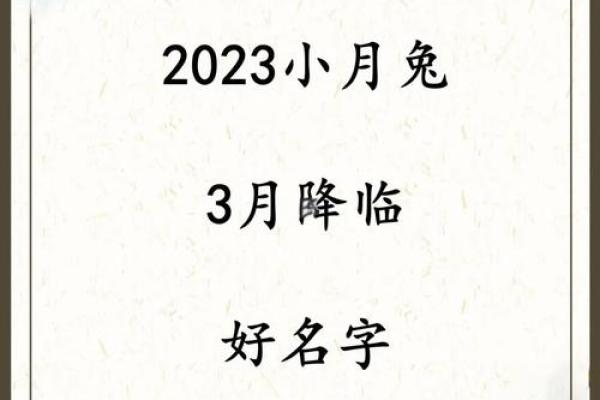 早上8点出生的属兔男孩如何取名姓名