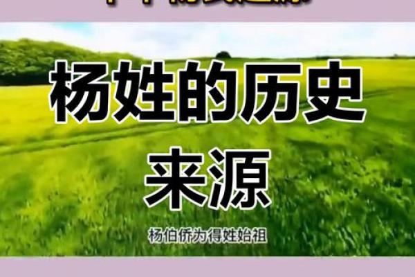 姓杨的名人-名人大全-姓名学-华易算命网姓名