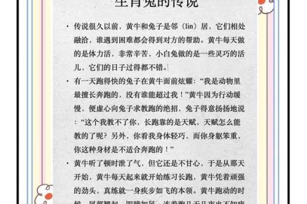 兔和什么属相配对幸福