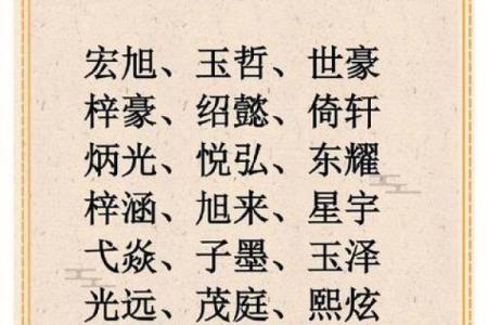 2019年3月20号辛时出生的男孩起名方法姓名