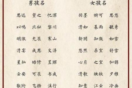 早上8点出生的属兔男孩如何取名姓名