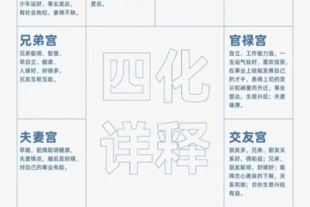 紫薇斗数中的禄存