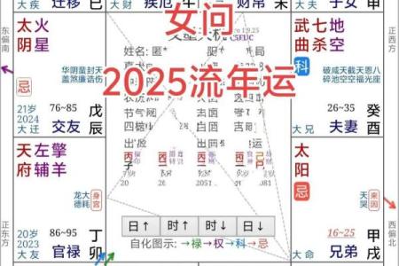 紫薇斗数如看今年流年