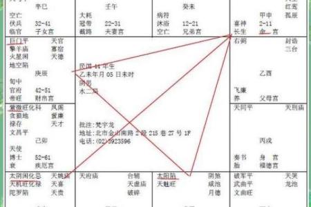申宫紫薇斗数