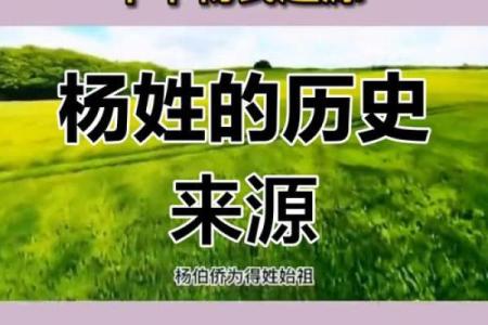 姓杨的名人-名人大全-姓名学-华易算命网姓名