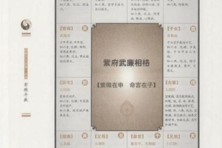 紫薇斗数app准吗