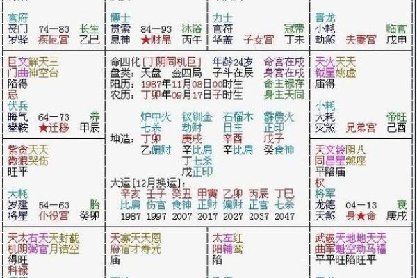 马大夫紫薇斗数
