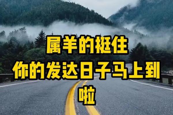 属羊的2024年11月宜提新车吉日 哪天适合买新车