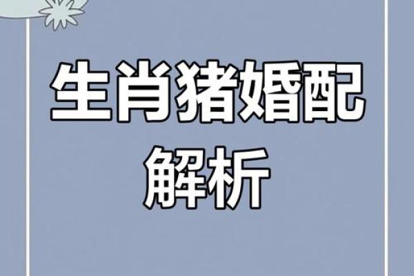 1983年属猪的婚配 1983年属猪的人应该和哪些生肖的人结婚配对