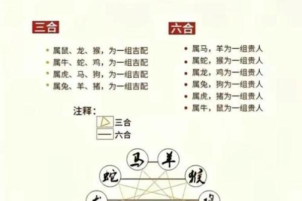 七九年属什么生肖配对