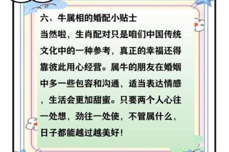 属牛人婚姻配对