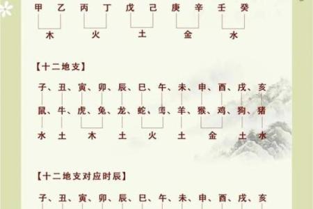 简析生辰八字所蕴含的信息