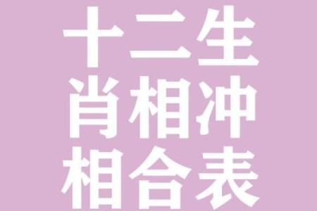 属鼠和什么属相最配对 属鼠和什么属相相冲