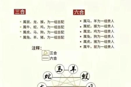 七九年属什么生肖配对
