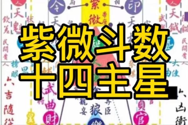紫微斗数密宗 紫微斗数密宗星法？