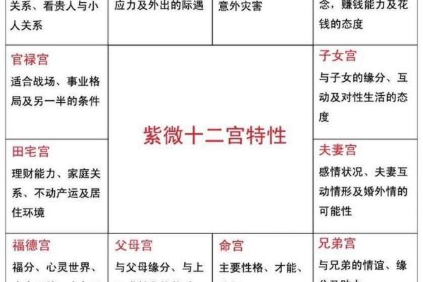 紫薇斗数怎么确定命宫