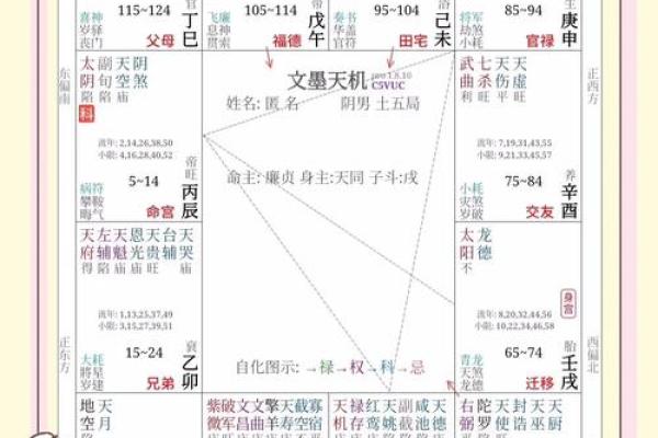 紫微斗数诸星落诸宫之:巨门星子女宫详解 紫微斗数诸星落诸宫之:巨门星子女宫详解