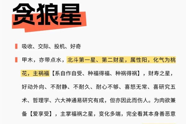 紫薇斗数之星