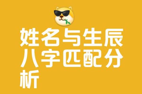 起名八字测试打分生辰八字