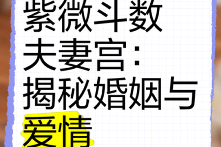 紫薇星左辅右弼入夫妻宫