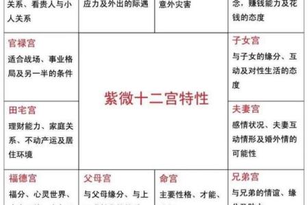 紫薇斗数怎么确定命宫