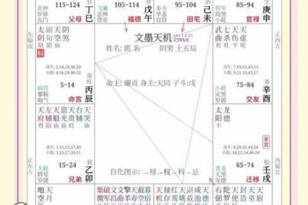 紫微斗数诸星落诸宫之：巨门星子女宫详解