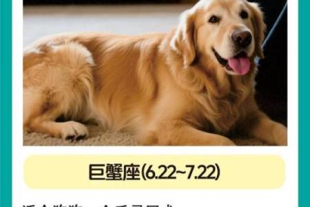12星座适合养的什么狗
