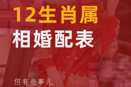 1999年属什么生肖配对