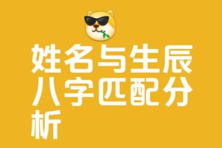 起名八字测试打分生辰八字