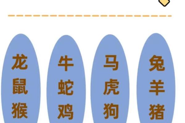 生肖配对姻缘查询鼠猴 生肖配对表鼠？