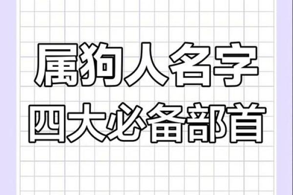 晚上出生的属狗男孩如何取名，应用什么字姓名