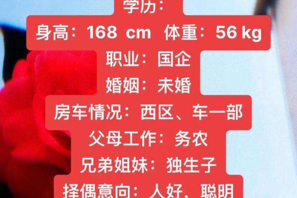 属狗是哪一年出生的 属狗的男孩出生吉日