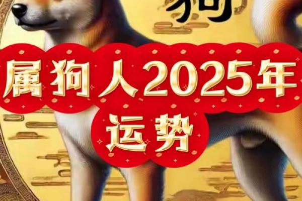 属狗是哪一年出生的 属狗的男孩出生吉日