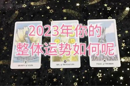 塔罗测试，下半年你的学业运势如何