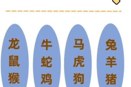 生肖配对姻缘查询鼠猴 生肖配对表鼠？
