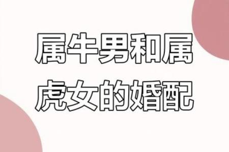 属虎和属牛的配对可行吗