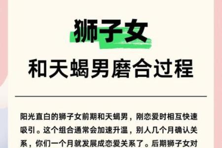 天蝎女和狮子男座配对指数 天蝎女和狮子男座配对指数多少