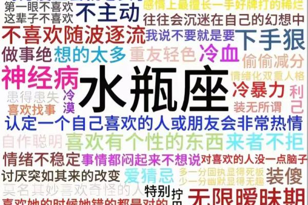 水瓶座跟双子星座配吗男生